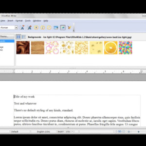 19 - OpenOffice Writer 3.0