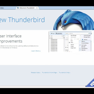 31 - Thunderbird
