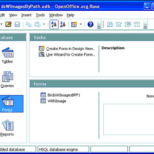 50 - OpenOffice Base