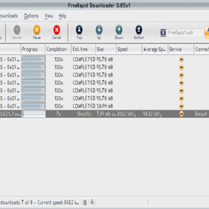 35 - FreeRapid Downloader