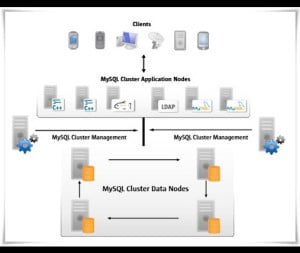 mysql1