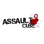 48 - assault cube